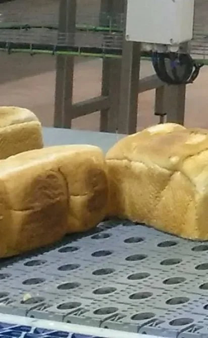 Alimentación y piensos Alimentación y piensos