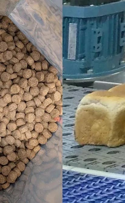 Alimentación y piensos